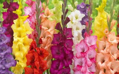 Aug 31/25